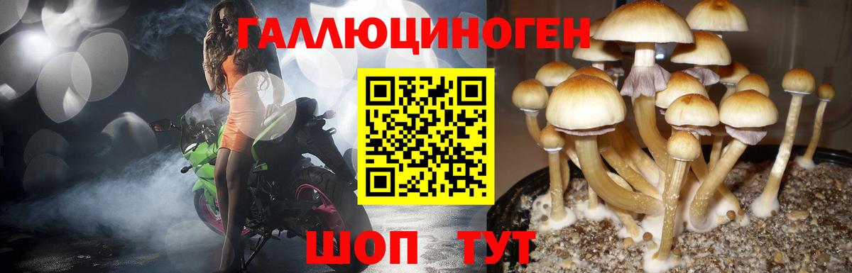 Таганрог  Галлюциногенные грибы Psilocybine cubensis  Псилоцибиновые грибы MAGIC MUSHROOMS  Вход с VPN 