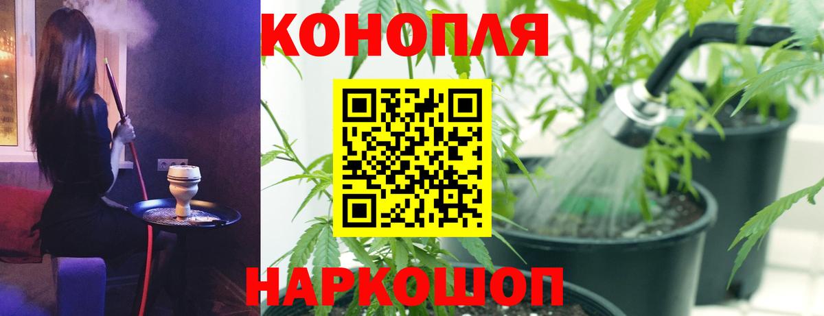 Шишки марихуана конопля Таганрог